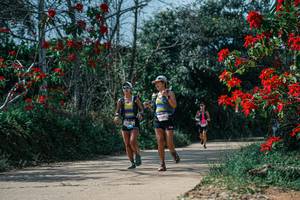 BIB: 
                            <button type="button" onclick="openModal(26139187)" class="btn btn-primary btn-sm float-right btn-popup" data-toggle="modal" data-target=".modal-high-quality">
                        <i class="fas fa-shopping-cart"></i> Add to Cart
                    </button>
                                            <button type="button" onclick="isThisMe(26139187, true)" class="btn btn-success btn-sm float-right btn-popup btn-isme hidden" data-toggle="tooltip" data-placement="bottom" title="นี่คือรูปของคุณใช่ไหม คลิกที่นี่เพื่อเอาเข้าอัลบั้ม">
                        <i class="fas fa-plus"></i> Add to album
                    </button>
                    <button type="button" onclick="isThisMe(26139187, false)" class="btn btn-warning btn-sm float-right btn-popup btn-isnotme hidden">
                        <i class="fas fa-ban"></i> Remove from album
                    </button>